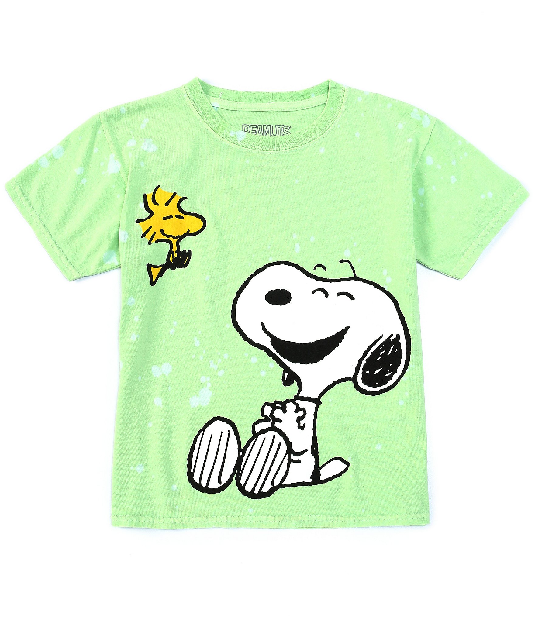 Detail Snoopy Graphics Nomer 48