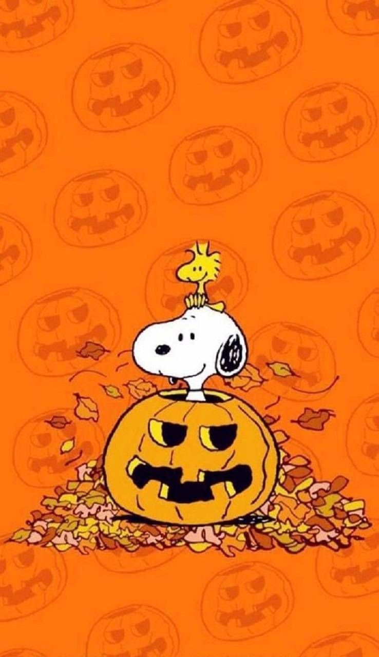 Detail Snoopy Halloween Images Free Nomer 19