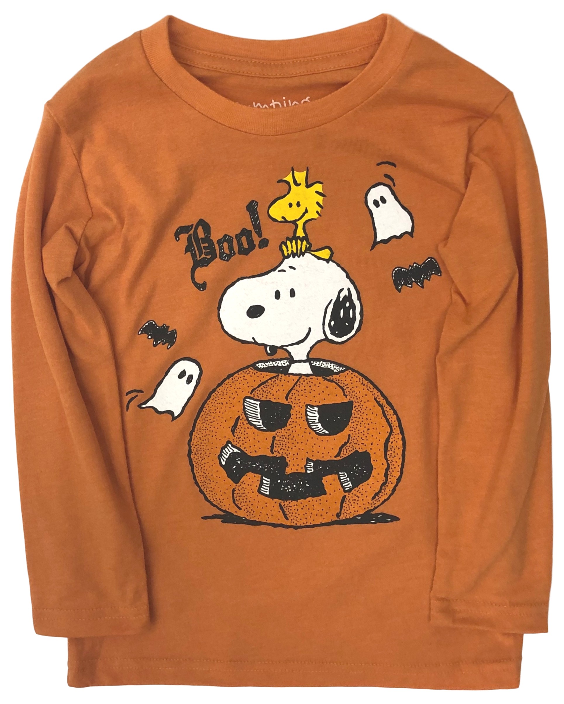 Detail Snoopy Halloween Pic Nomer 29