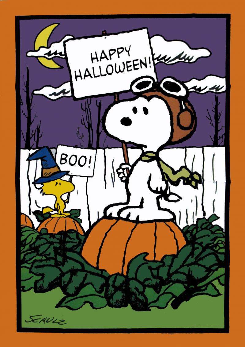 Detail Snoopy Halloween Wallpaper Nomer 41