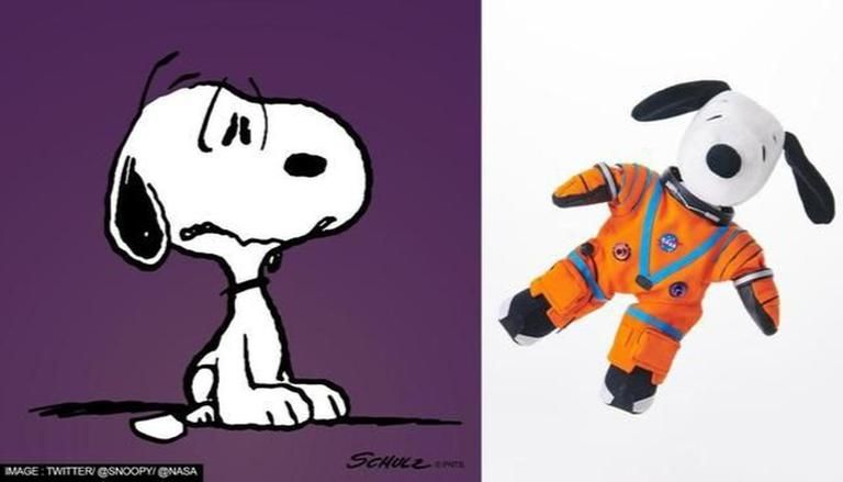 Detail Snoopy Images Nomer 42