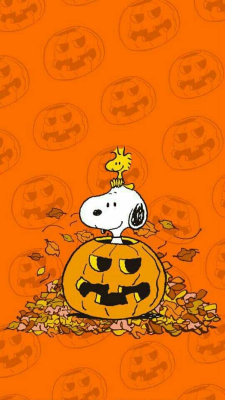 Detail Snoopy Iphone Backgrounds Nomer 39