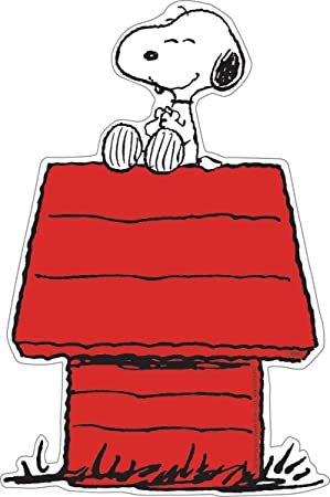 Detail Snoopy On His Doghouse Pictures Nomer 13