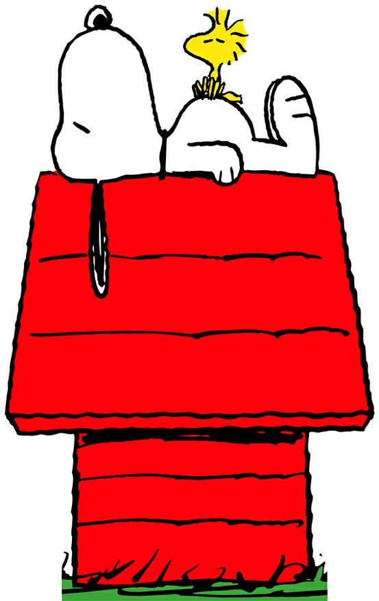 Detail Snoopy On His Doghouse Pictures Nomer 4