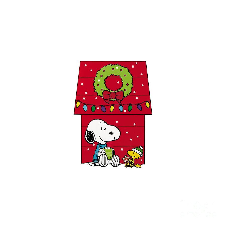 Detail Snoopy On His Doghouse Pictures Nomer 31