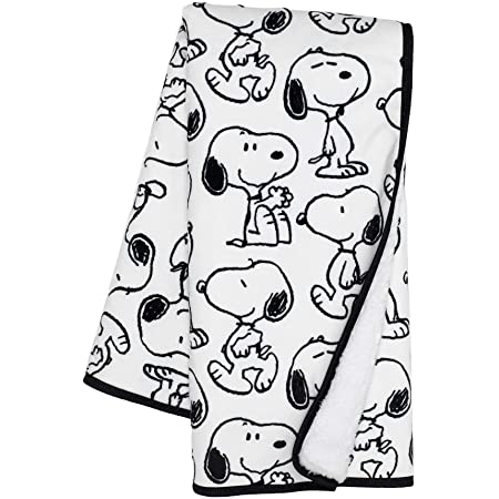 Detail Snoopy Security Blanket Nomer 42