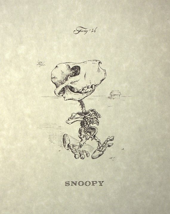 Detail Snoopy Skeleton Nomer 12