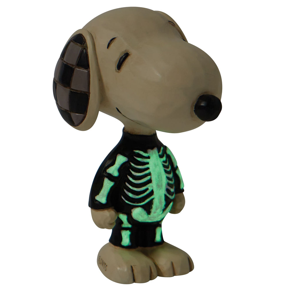 Detail Snoopy Skeleton Nomer 16