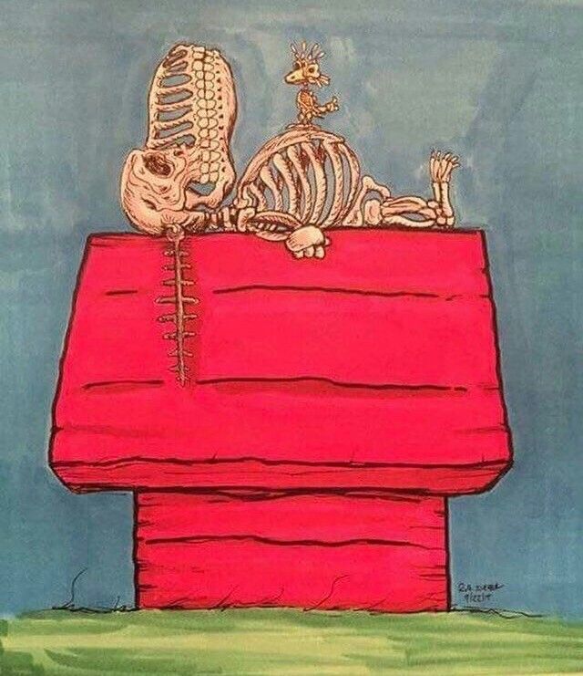Detail Snoopy Skeleton Nomer 39