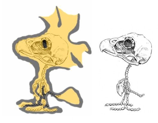 Detail Snoopy Skeleton Nomer 44