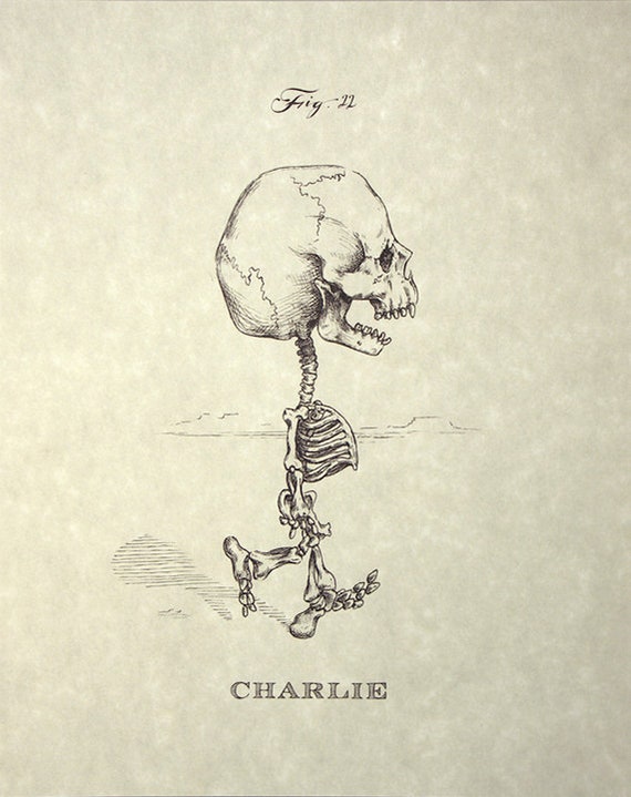 Detail Snoopy Skeleton Nomer 7