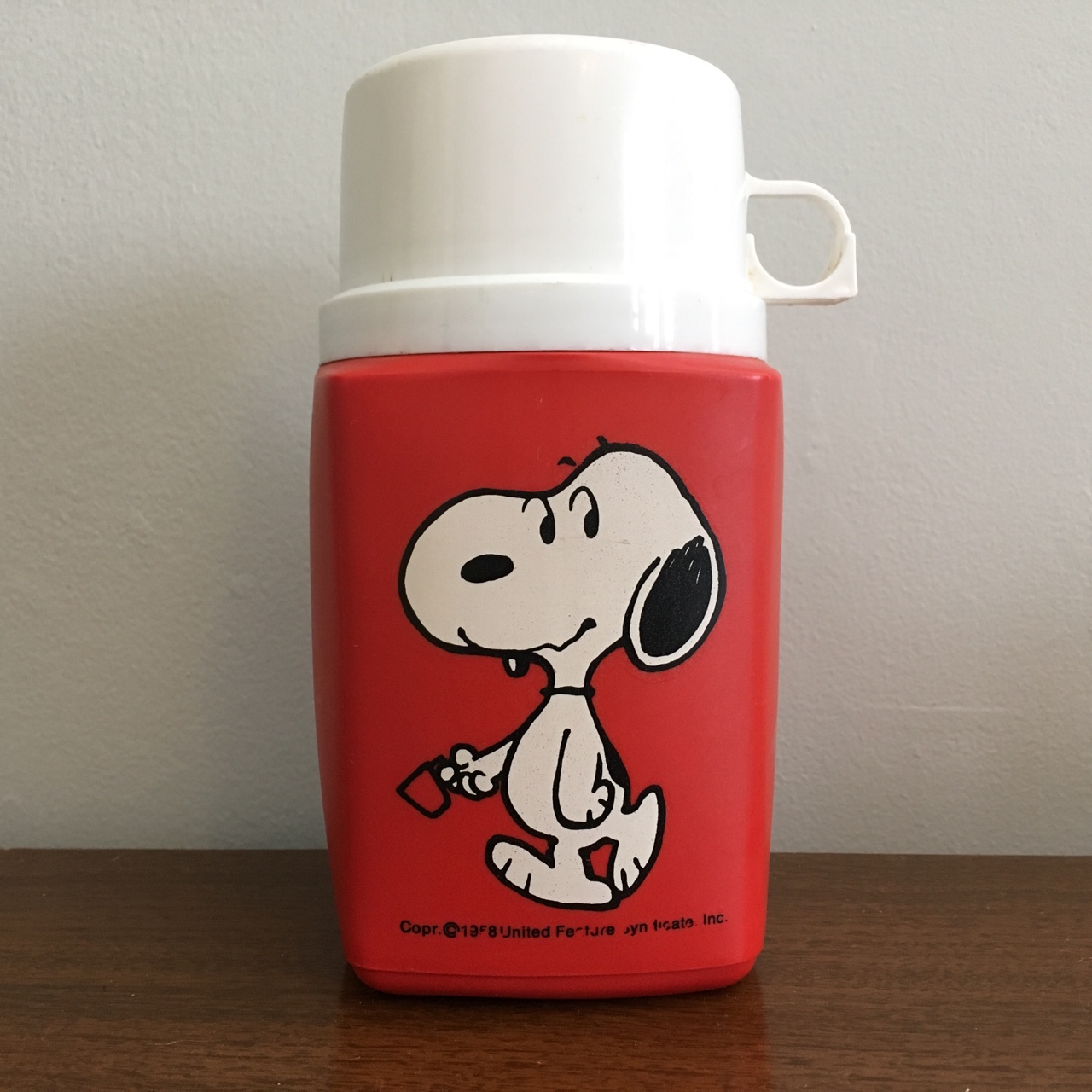 Detail Snoopy Thermos Nomer 20