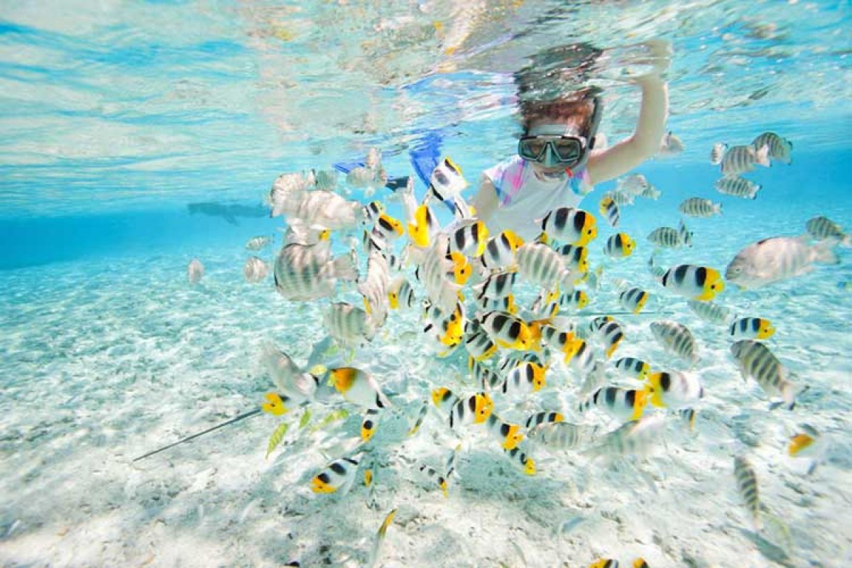 Detail Snorkelling Images Nomer 28