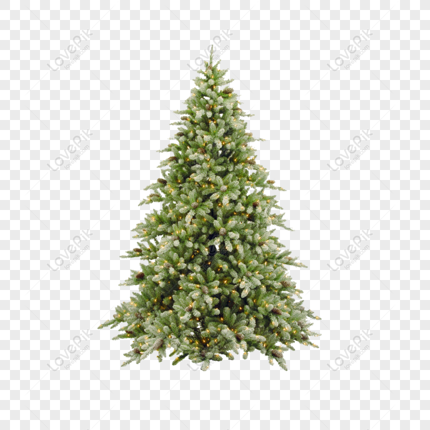 Detail Snow Christmas Tree Png Nomer 24