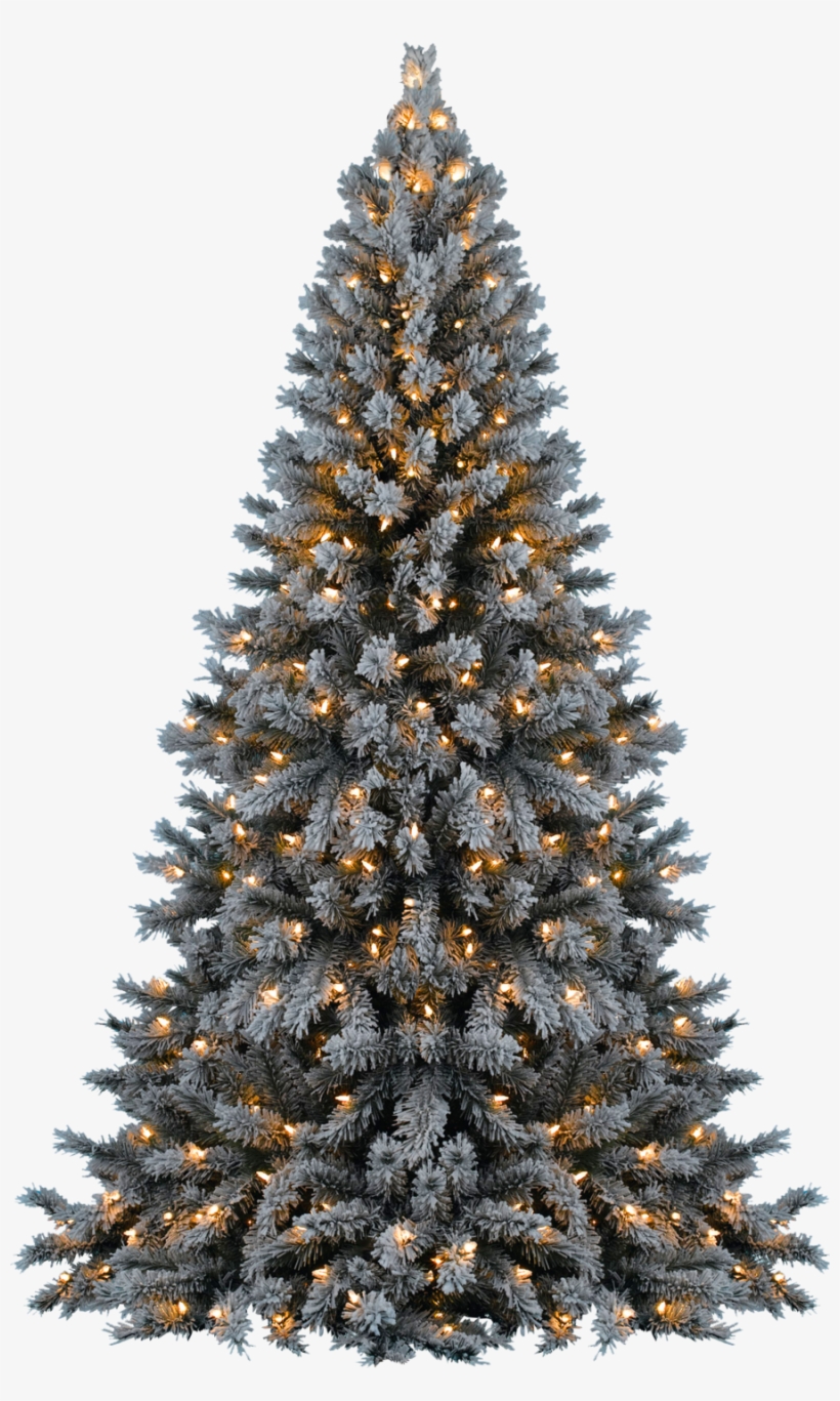 Detail Snow Christmas Tree Png Nomer 25