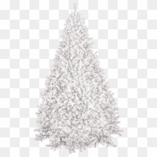 Detail Snow Christmas Tree Png Nomer 29