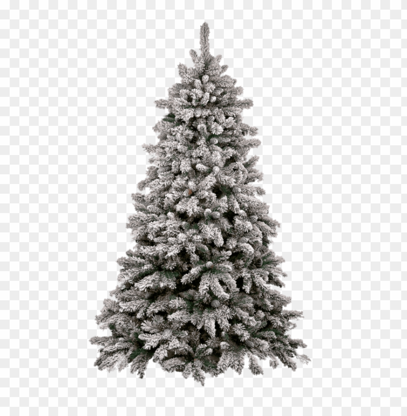 Detail Snow Christmas Tree Png Nomer 4