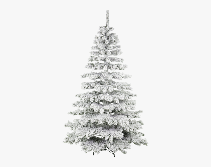 Detail Snow Christmas Tree Png Nomer 41