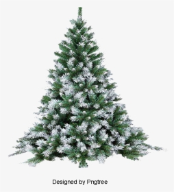 Detail Snow Christmas Tree Png Nomer 56