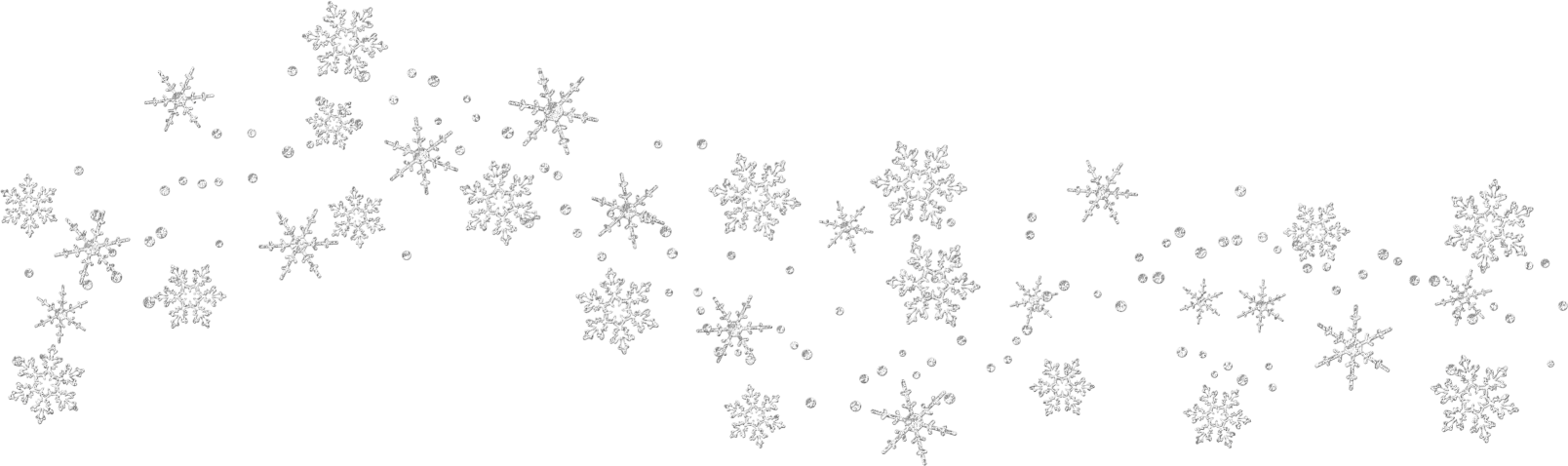 Detail Snow Flakes Transparent Nomer 16