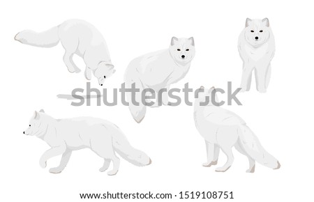 Detail Snow Fox Clipart Nomer 48