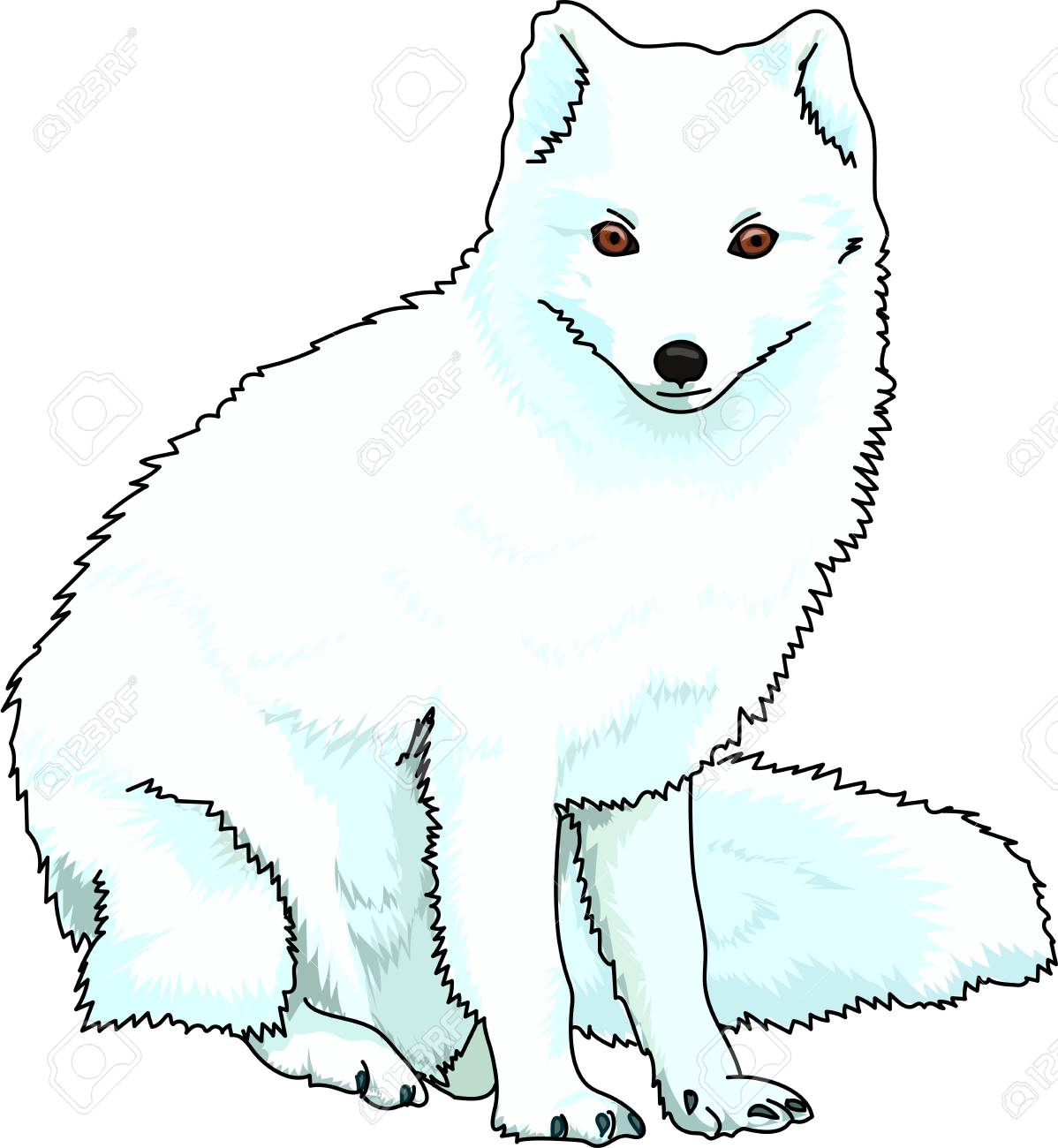 Detail Snow Fox Clipart Nomer 7