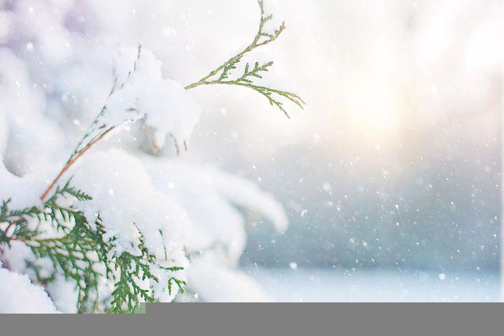 Detail Snow Images Free Download Nomer 23