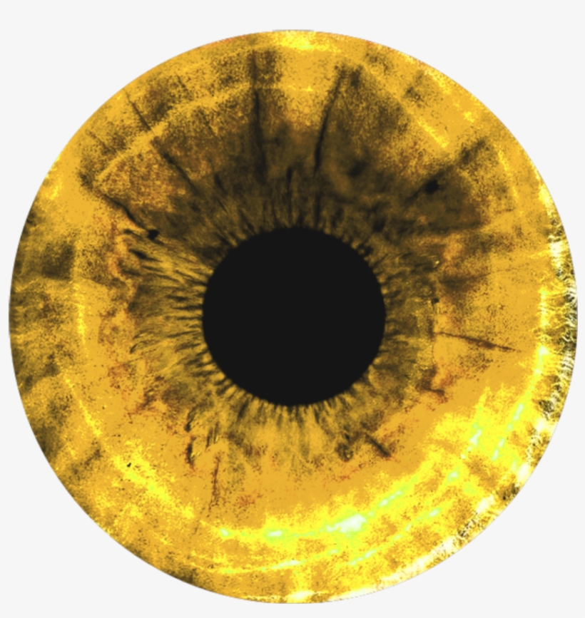 Yellow Eyes Png - KibrisPDR