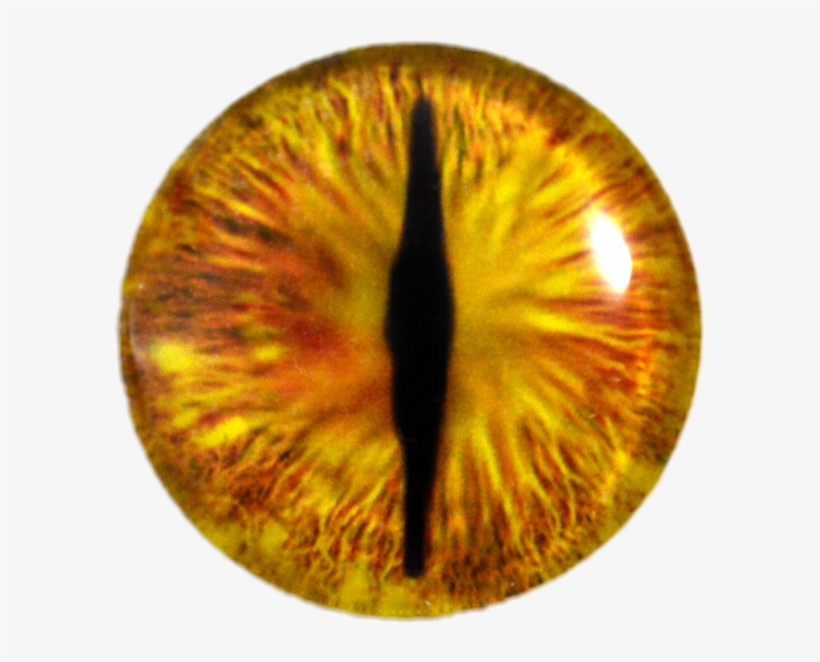 Detail Yellow Eyes Png Nomer 16