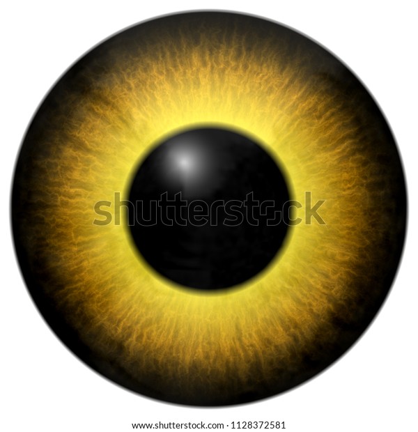 Detail Yellow Eyes Png Nomer 32