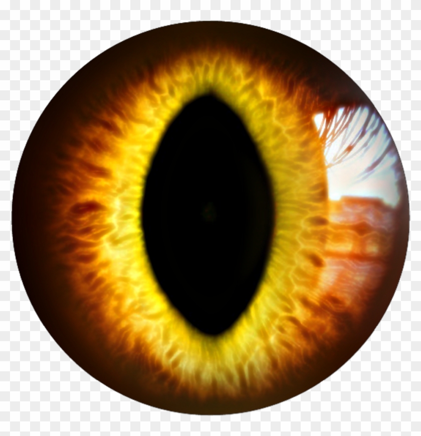 Detail Yellow Eyes Png Nomer 53