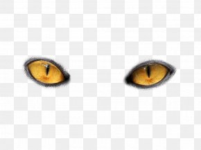 Detail Yellow Eyes Png Nomer 6