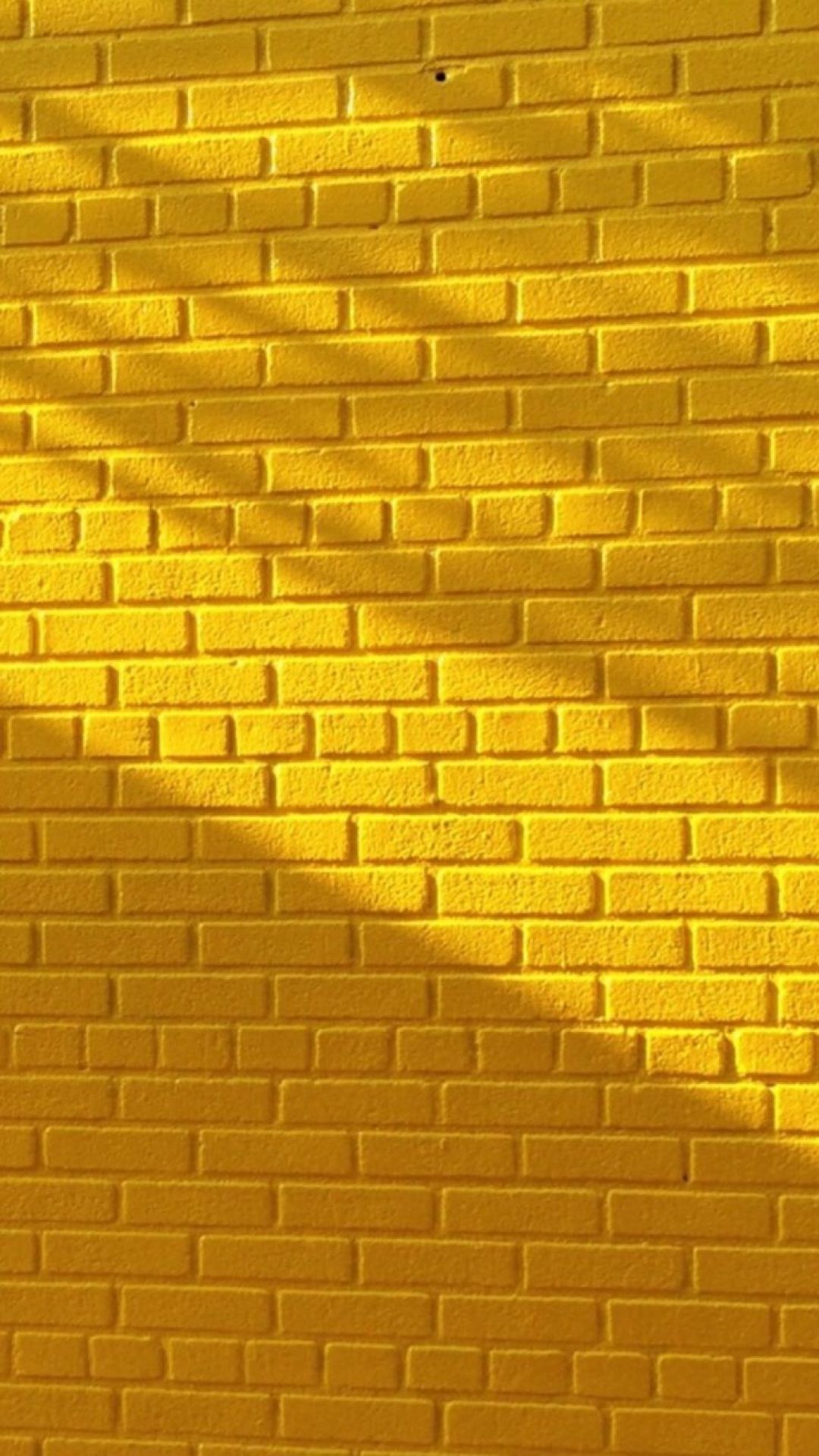 Detail Yellow Hd Wallpaper Nomer 48