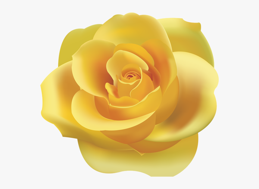 Detail Yellow Rose Png Nomer 21