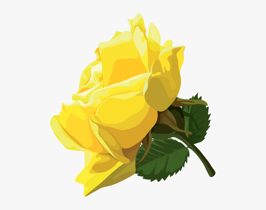 Detail Yellow Rose Png Nomer 25