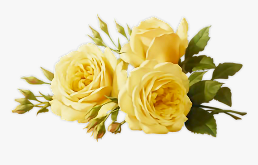 Detail Yellow Rose Png Nomer 47