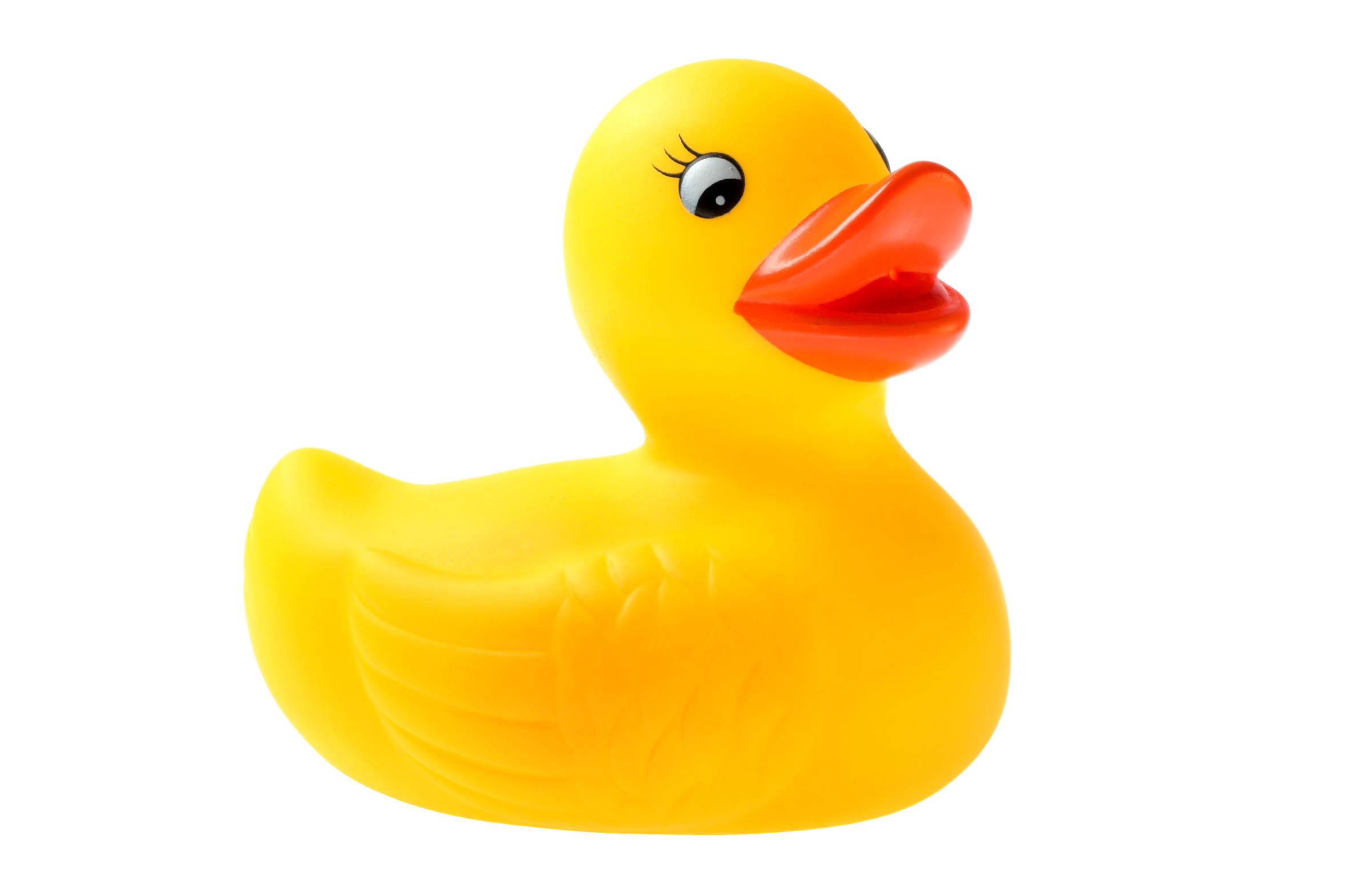 Detail Yellow Rubber Duck Pictures Nomer 43