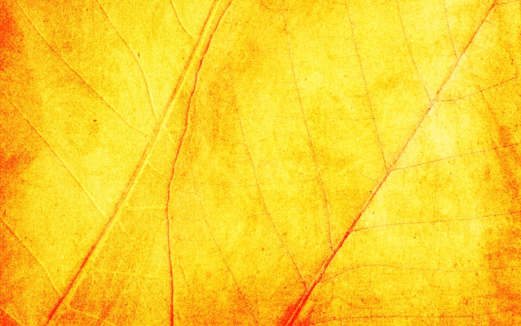 Detail Yellow Texture Background Hd Nomer 32