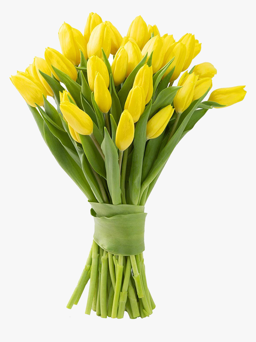 Detail Yellow Tulips Png Nomer 20