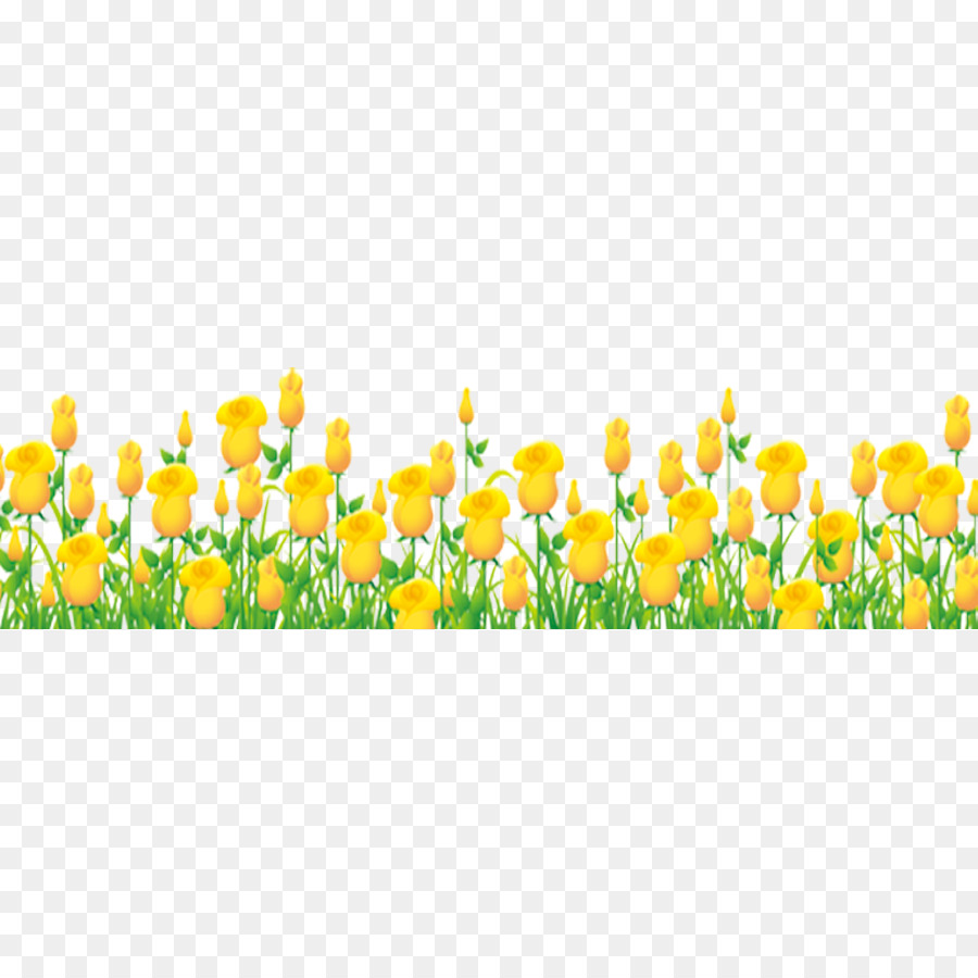 Detail Yellow Tulips Png Nomer 32