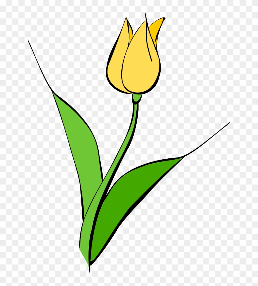 Detail Yellow Tulips Png Nomer 39