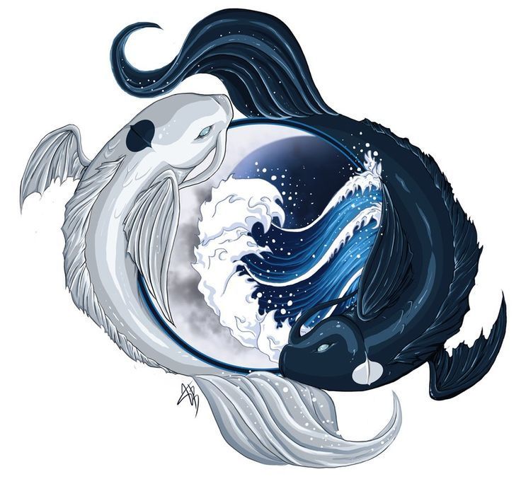 Detail Yin And Yang Fish Avatar Nomer 15