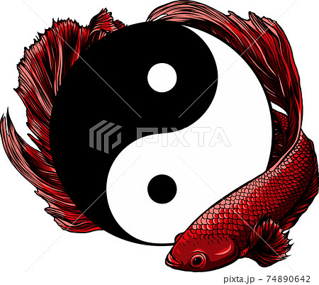 Detail Yin Dan Yang Ikan Koi Nomer 24