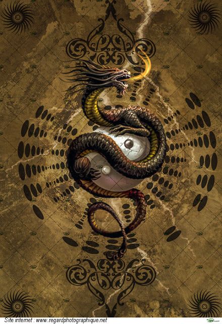 Detail Yin Yang Dragon Wallpaper Nomer 46