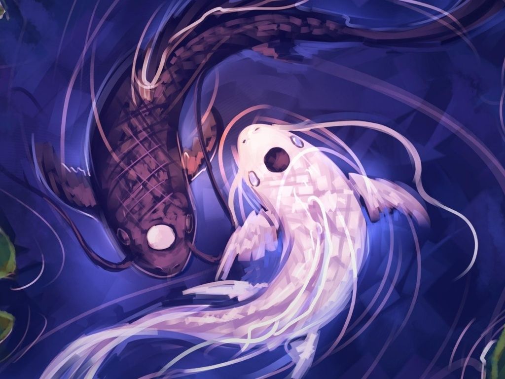 Yin Yang Fish Wallpaper - KibrisPDR