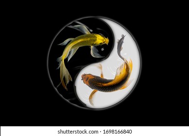 Detail Yin Yang Fish Wallpaper Nomer 22