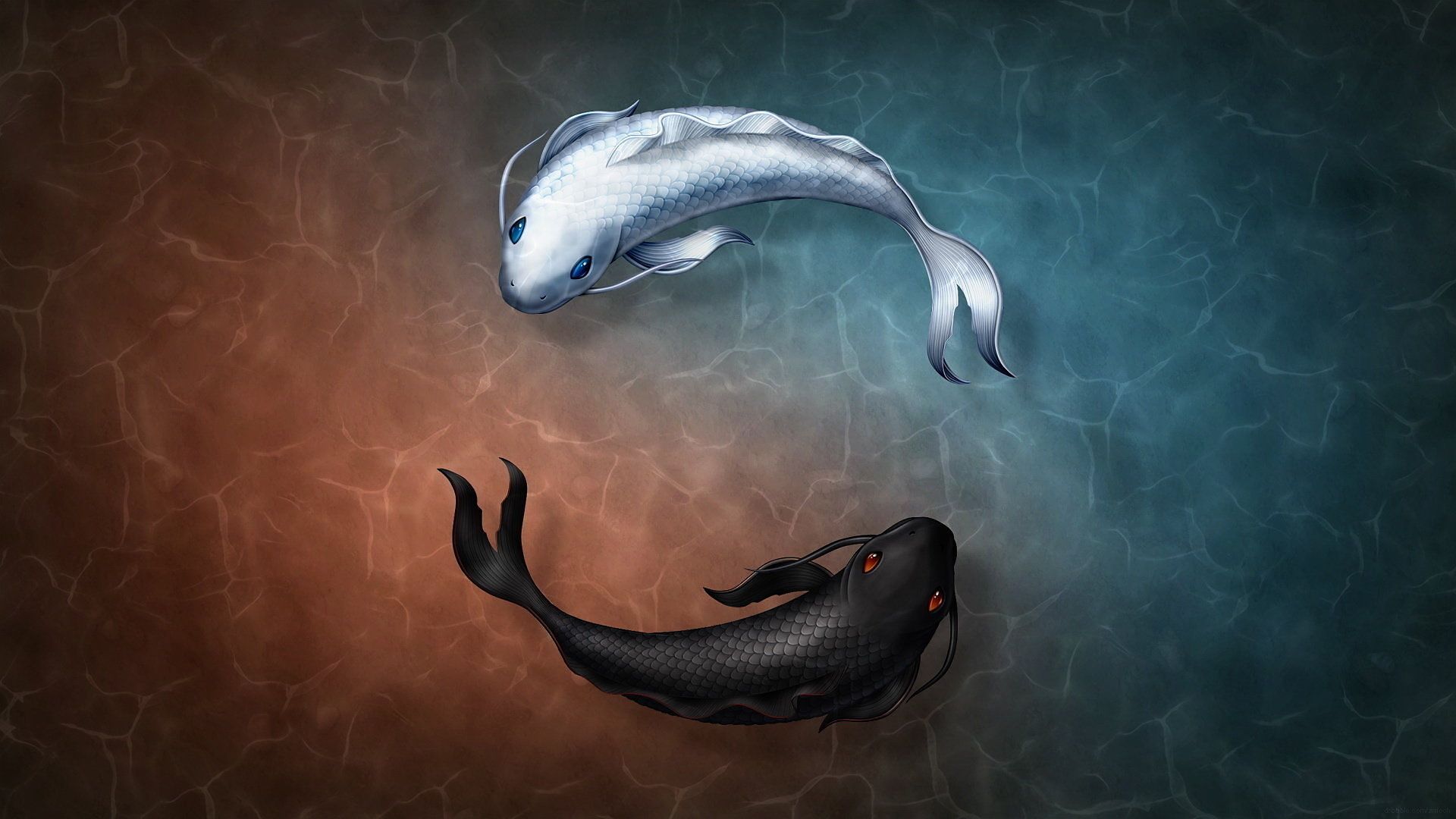 Detail Yin Yang Fish Wallpaper Nomer 4