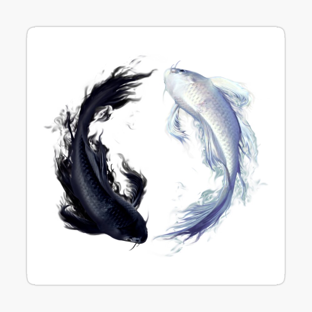 Detail Yin Yang Fish Wallpaper Nomer 39