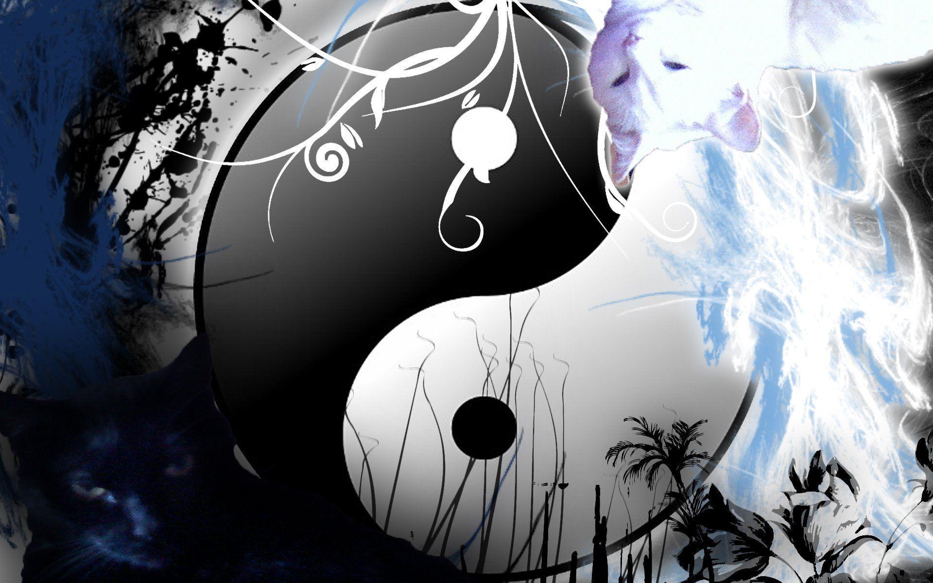 Detail Yin Yang Fish Wallpaper Nomer 44