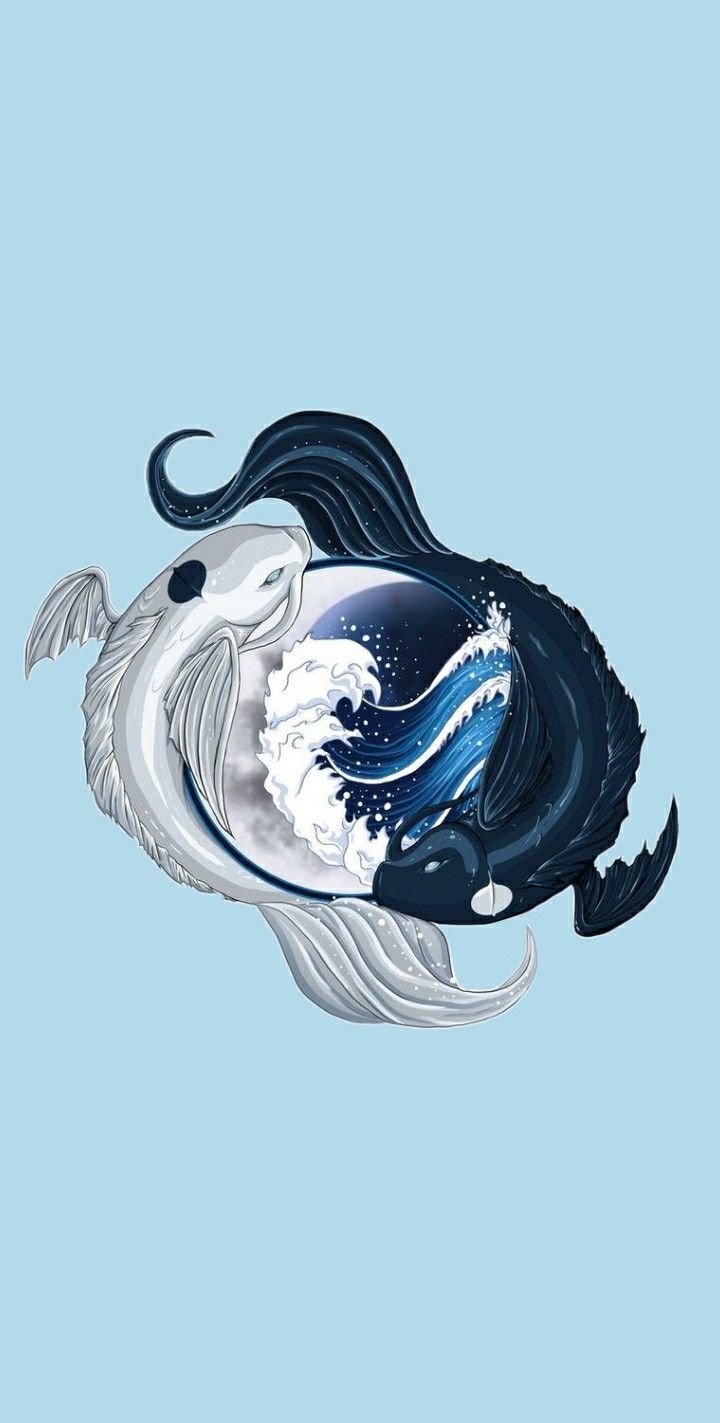 Detail Yin Yang Fish Wallpaper Nomer 6